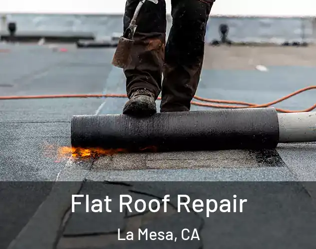  Flat Roof Repair La Mesa, CA