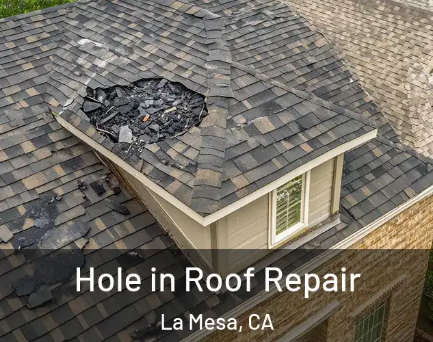  Hole in Roof Repair La Mesa, CA