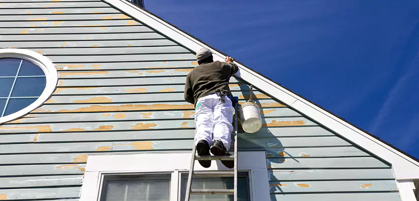 Professional Roof and Siding Repair Services in La Mesa, CA