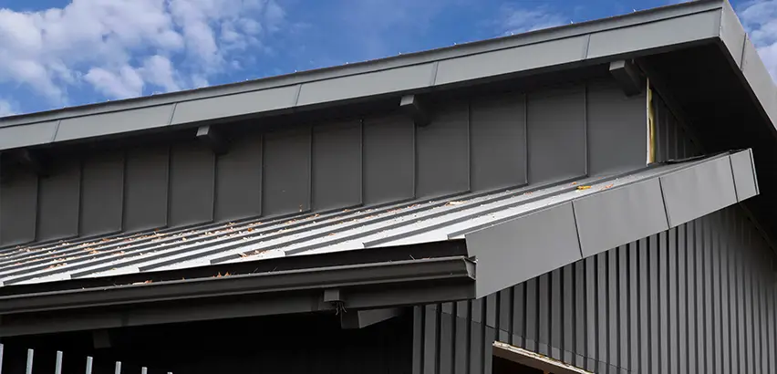 Professional Roof Eaves Installation Services in La Mesa, CA