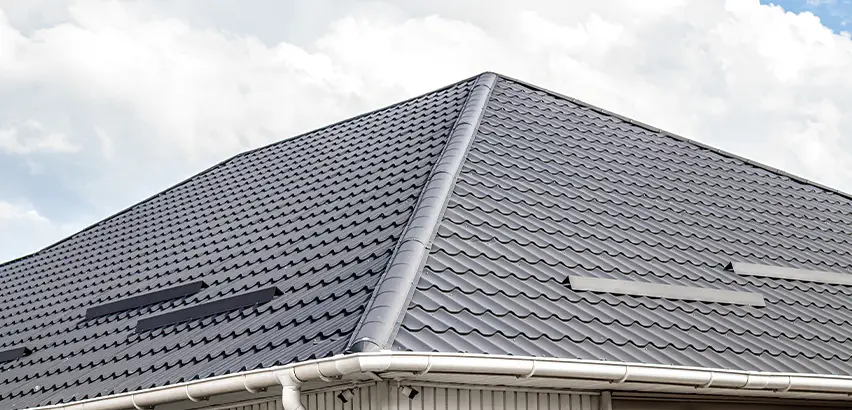 Roof Gully Repair in La Mesa