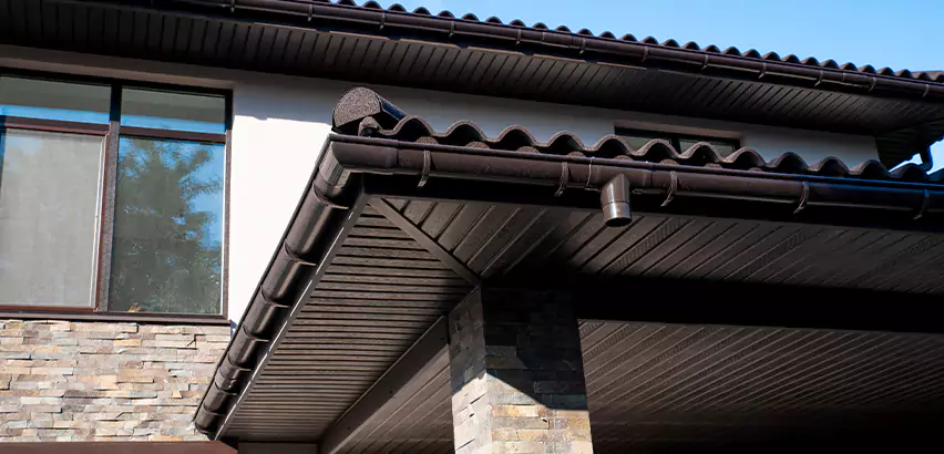 Soffit Damage Repair in La Mesa