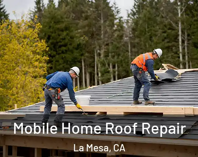  Mobile Home Roof Repair La Mesa, CA