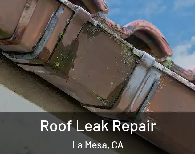  Roof Leak Repair La Mesa, CA