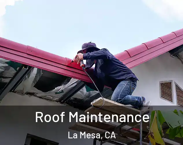  Roof Maintenance La Mesa, CA