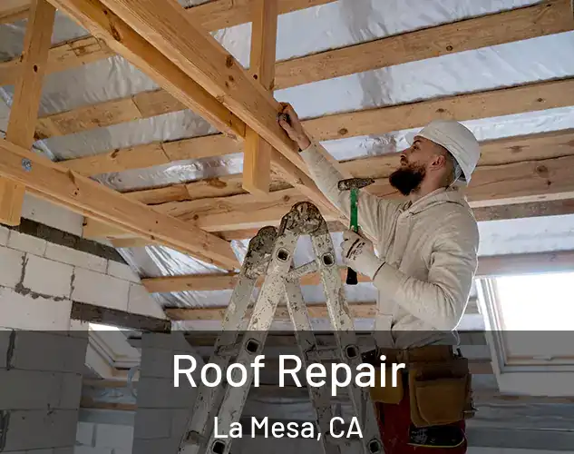  Roof Repair La Mesa, CA