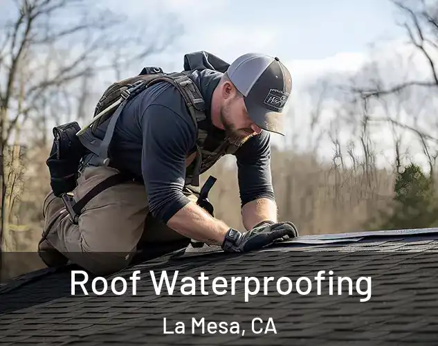  Roof Waterproofing La Mesa, CA