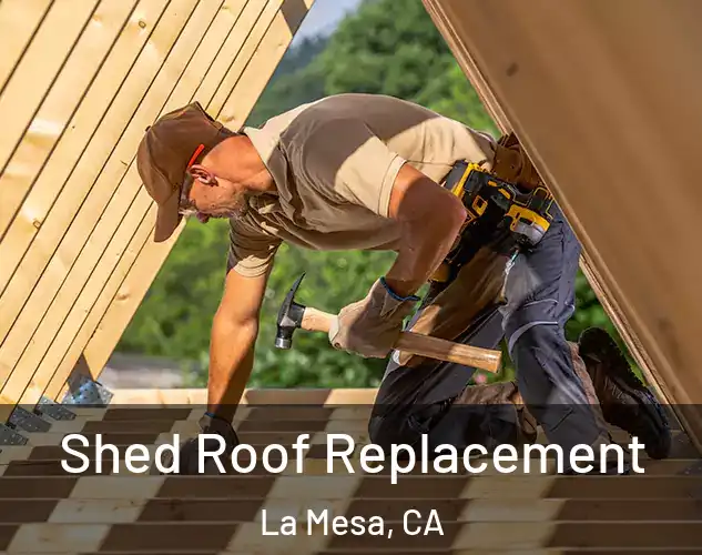  Shed Roof Replacement La Mesa, CA