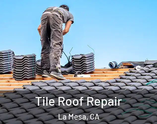  Tile Roof Repair La Mesa, CA