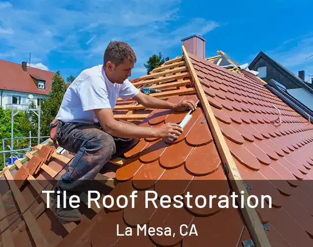  Tile Roof Restoration La Mesa, CA